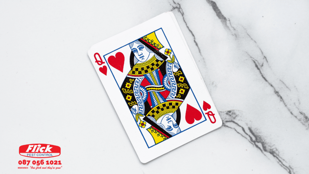 Queen of hearts playing card laying on a marble table with the Flick logo on the bottom left hand side